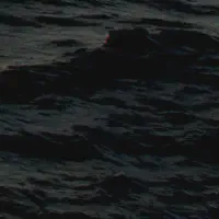 crop=200x200,BottomRight Crop Image