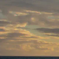 crop=200x200,Left Crop Image